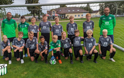 Fußballnews – D Junioren